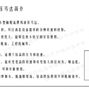 乐动（中国）侧油口系列马达