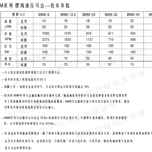 乐动（中国）侧油口系列马达