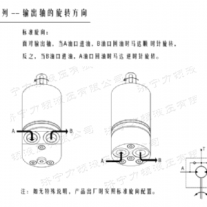 乐动（中国）后油口系列马达