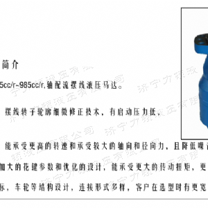 BMH系列并列油口乐动在线登录官网马达