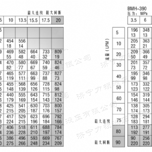 BMH系列并列油口乐动在线登录官网马达