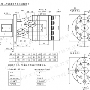 BMH系列交错油口乐动在线登录官网马达